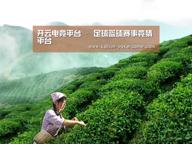 开云电竞平台 - 足球篮球赛事竞猜平台