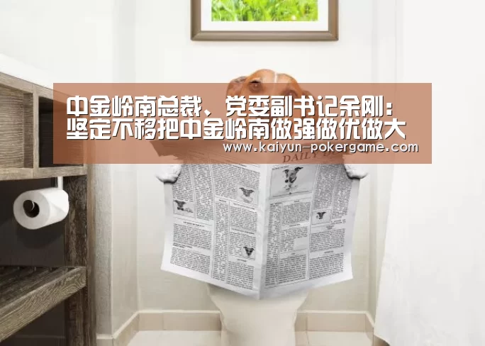 开云篮球