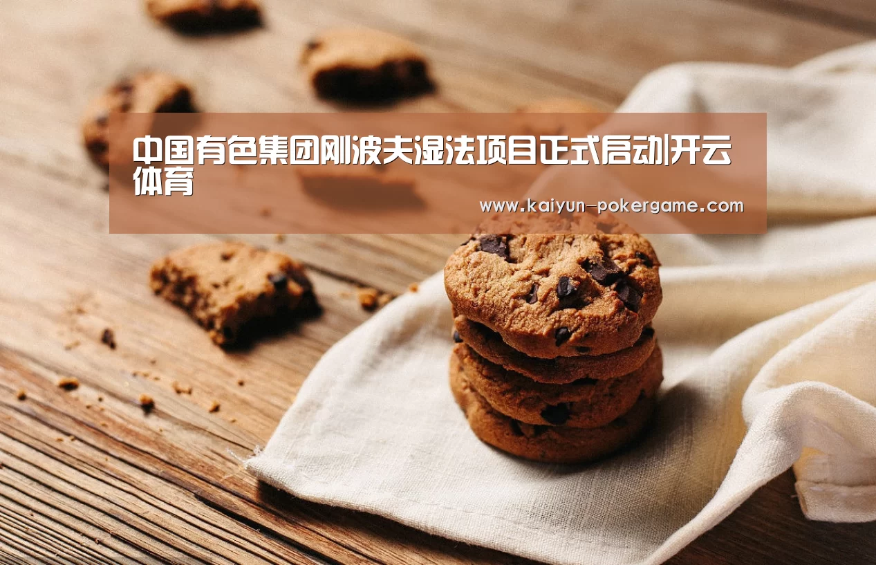 中国有色集团刚波夫湿法项目正式启动|开云体育(图3) 开云篮球