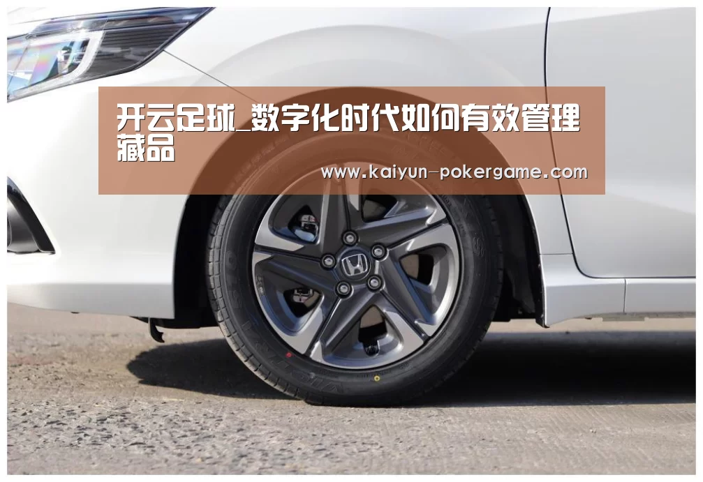 开云足球_数字化时代如何有效管理藏品(图4) 开云篮球