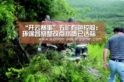 “开云赛事”五矿有色控股:环保督察整改点水质已达标(图1) 开云体育