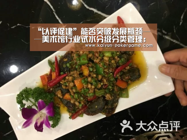 “以评促建”能否突破发展瓶颈——美术馆行业试水分级分类管理:开云足球(图1) 开云赛事