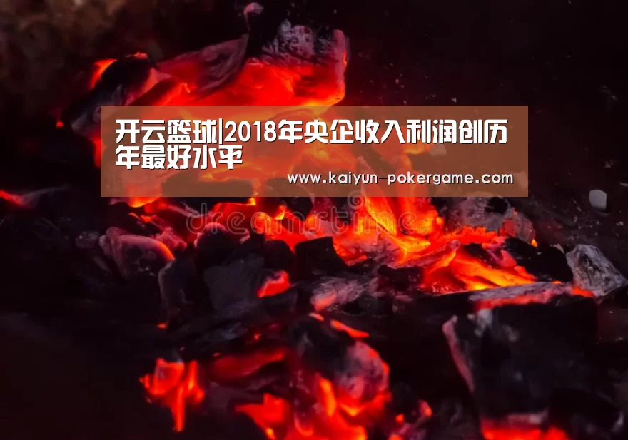 开云篮球|2018年央企收入利润创历年最好水平(图3) 开云赛事