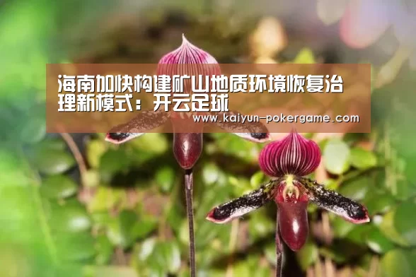 海南加快构建矿山地质环境恢复治理新模式:开云足球(图4) 开云篮球